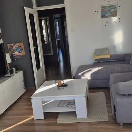 Apartment Jarun Comfort Загреб Екстериор снимка