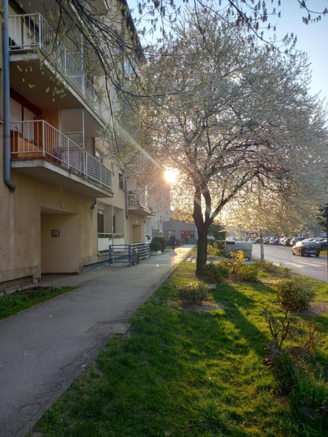 Apartment Jarun Comfort Загреб Екстериор снимка