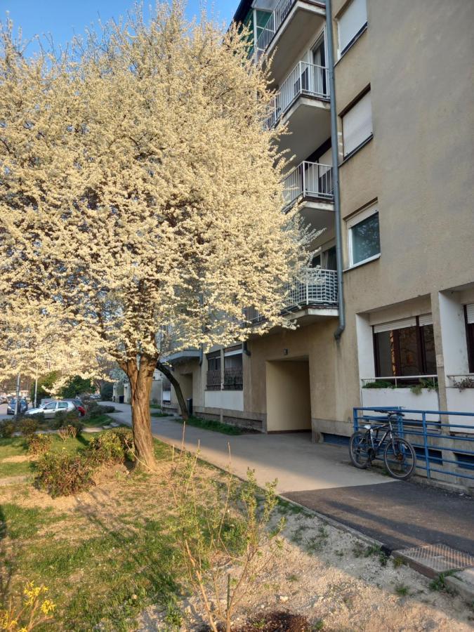 Apartment Jarun Comfort Загреб Екстериор снимка