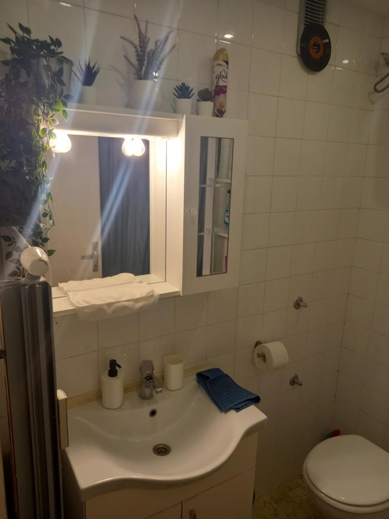 Apartment Jarun Comfort Загреб Екстериор снимка